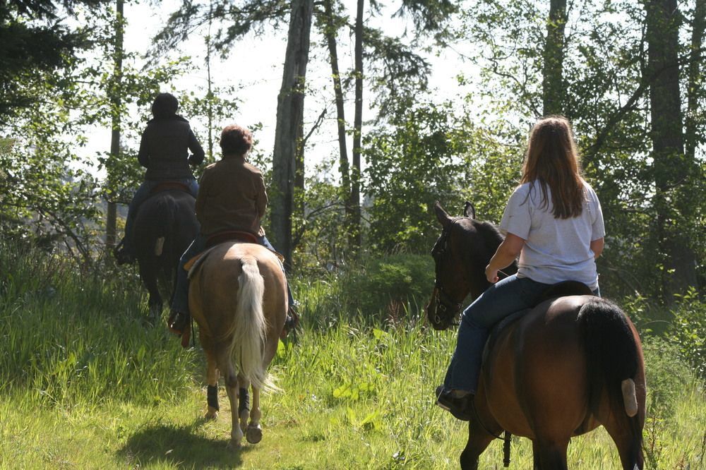 Wildwood Farm Bed & Breakfast โอ๊คฮาร์เบอร์ ภายนอก รูปภาพ